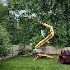 Lawn Maintenance Plans in Garden City, KS